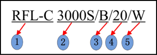 مدل ریکاس 3000 وات