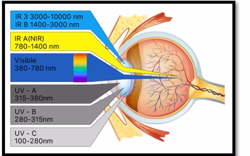 عمق نفوذ انواع اشعه‌های مرئی و نامرئی 